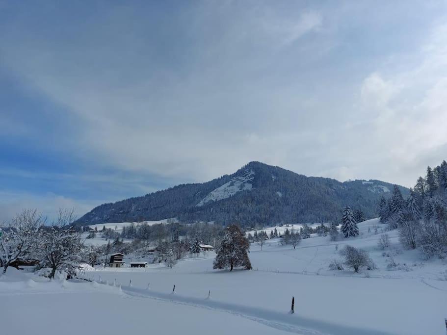 Appartamento Di Charme Praz-sur-Arly Extérieur photo