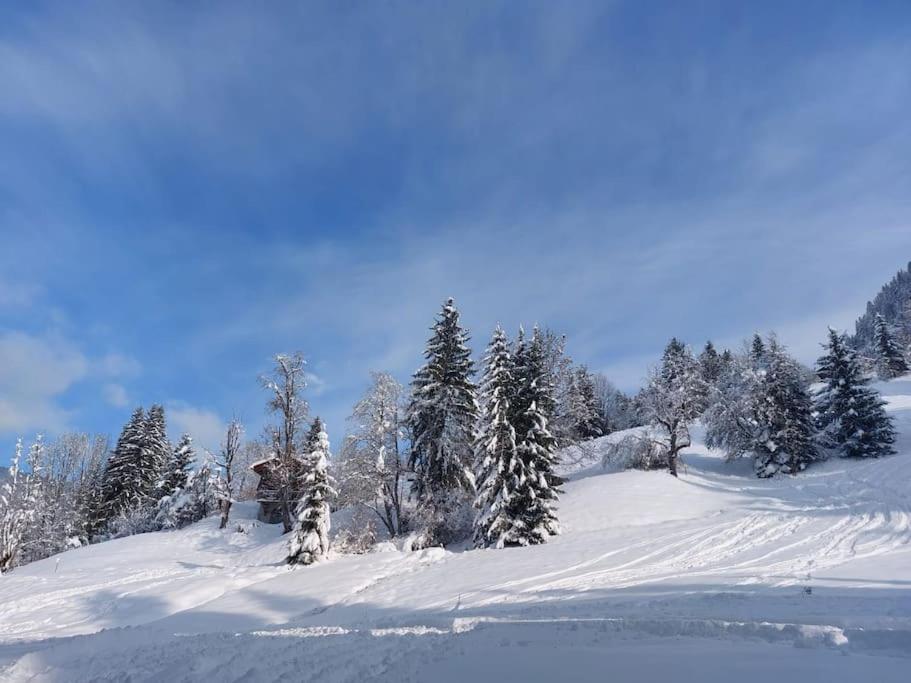 Appartamento Di Charme Praz-sur-Arly Extérieur photo