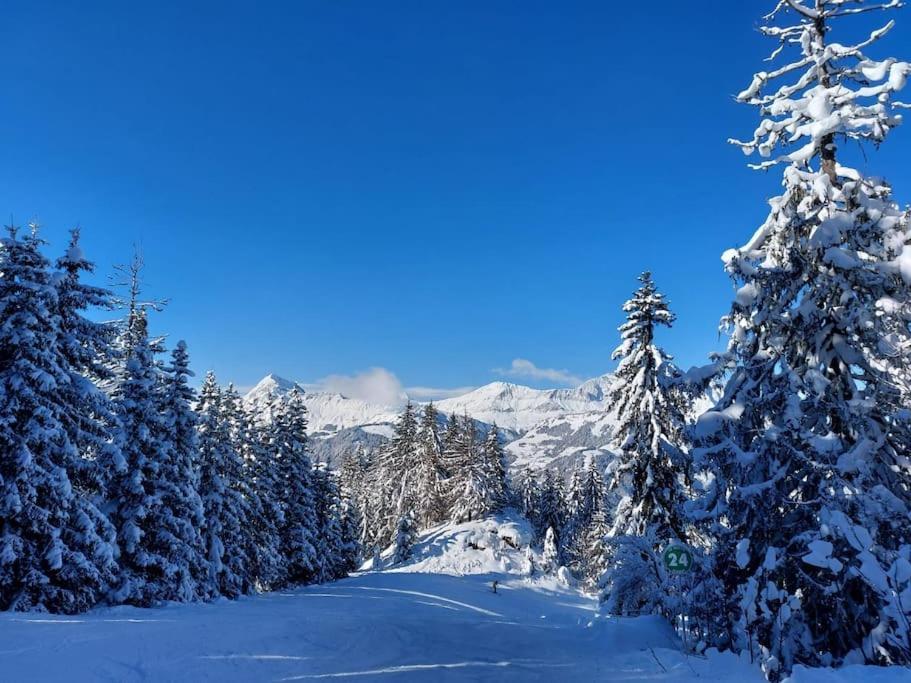 Appartamento Di Charme Praz-sur-Arly Extérieur photo